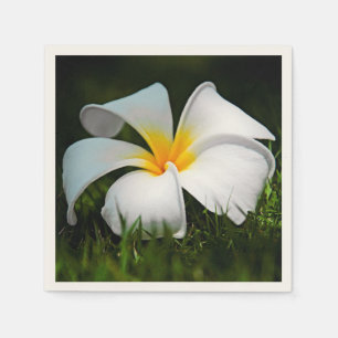 Weiße Plumeriafrangipani-Hawaii-Blume Serviette