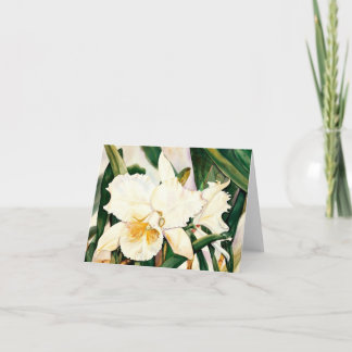 WEISSE PRINZESS-Orchid 2,95 Karte