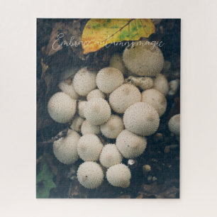 Weiße Puffballpilze unter Herbstblättern