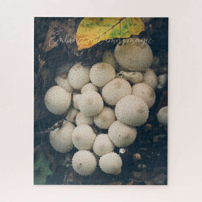 Weiße Puffballpilze unter Herbstblättern (Vertikal)