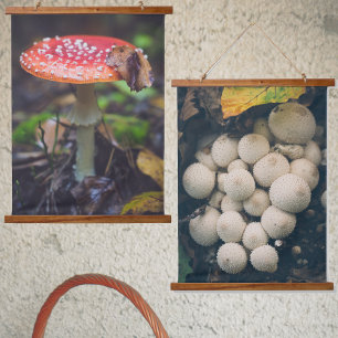 Weiße Puffballpilze unter Herbstblättern Wandteppich Mit Holzrahmen