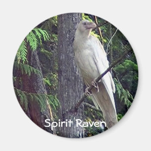 Weiße Raven-Magnete Magnet