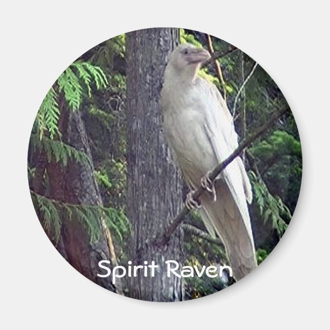 Weiße Raven-Magnete Magnet (Vorne)