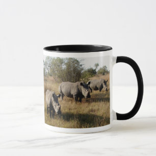 Weiße Rhinos in Sabi Sabi (Südafrika) Tasse