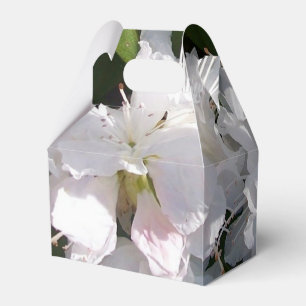 Weiße Rhododendron-Blume Geschenkschachtel