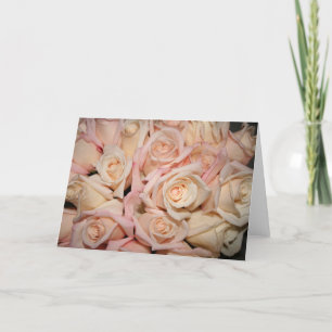weiße rosa Rose Karte