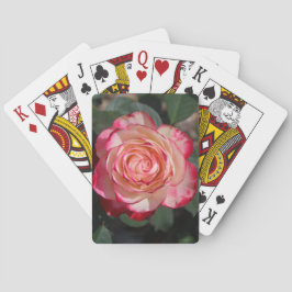 Weiße rosa Rosen-Blumen-BlumenPflanzen-Natur Spielkarten