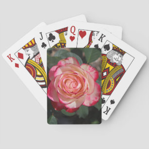 Weiße rosa Rosen-Blumen-BlumenPflanzen-Natur Spielkarten
