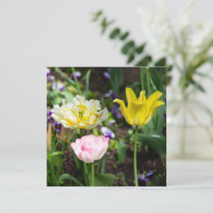 Weiße, rosa und gelbe Tulpen im Garten