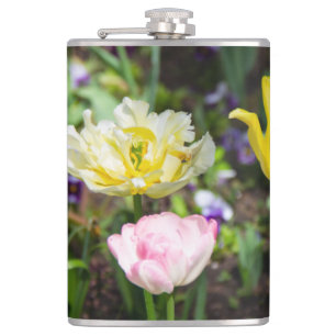 Weiße, rosa und gelbe Tulpen im Garten Flachmann