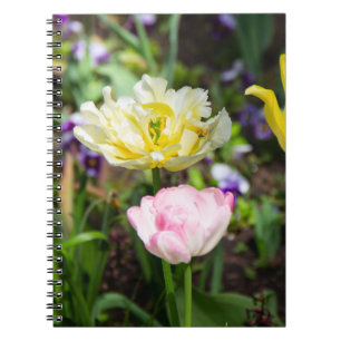 Weiße, rosa und gelbe Tulpen im Garten Notizblock
