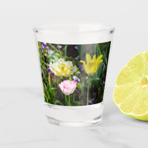 Weiße, rosa und gelbe Tulpen im Garten Schnapsglas