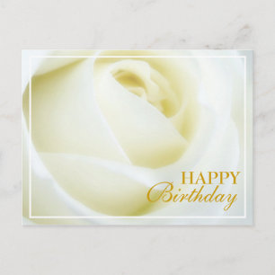 Weiße Rose Alles Gute zum Geburtstag Postkarte