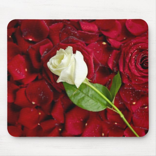 Weiße Rose auf roten Blumenblättern Mousepad (Vorne)