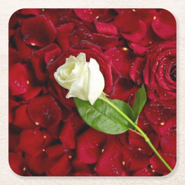 Weiße Rose auf roten Blumenblättern Rechteckiger Pappuntersetzer (Vorderseite)