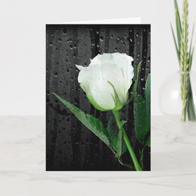 Weiße Rose auf Schwarz mit Regentropfen Karte (Vorderseite)