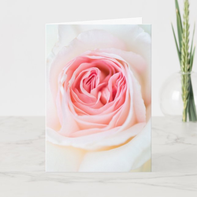 "WEISSE ROSE BLUME" BLUMENKARTE KARTE (Vorderseite)