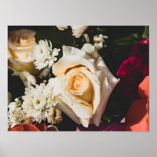 Weiße Rose Fotografie Poster