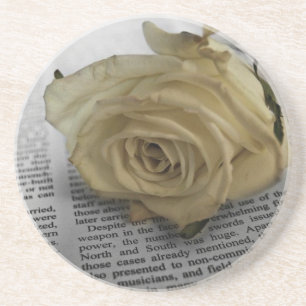 Weiße Rose Getränkeuntersetzer