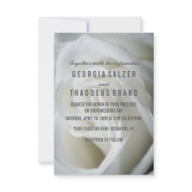 Weiße Rose-Hochzeitskarte