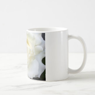 Weiße Rose Kaffeetasse