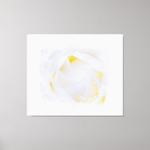 *~* Weiße Rose Makro Blume Abstract Grunge AR8 Leinwanddruck