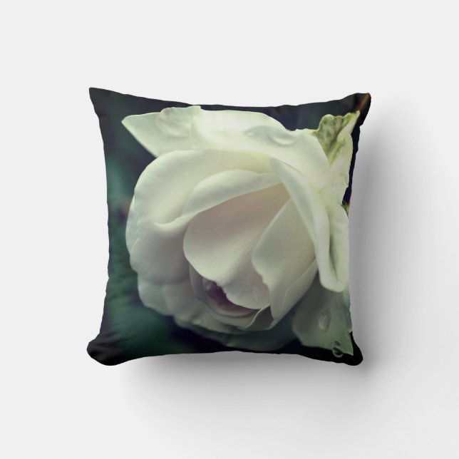Weiße Rose mit Regentropfen Kissen (Vorderseite)