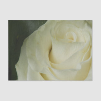 Weiße Rose Seidenpapier