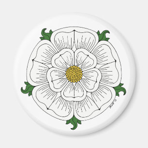 Weiße Rose von York Magnet