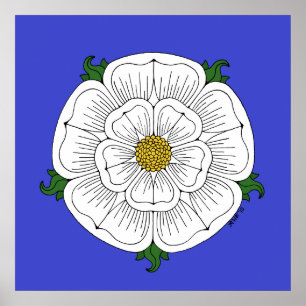 Weiße Rose von York Poster