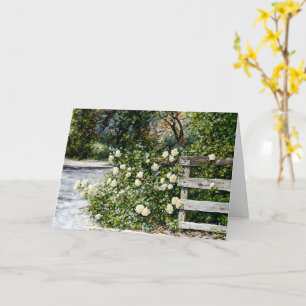 Weiße Rosen auf einer Blume des Landeszauns Kunst Karte