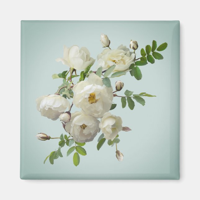 Weiße Rosen auf verträumtem grünen Magneten Magnet (Vorne)