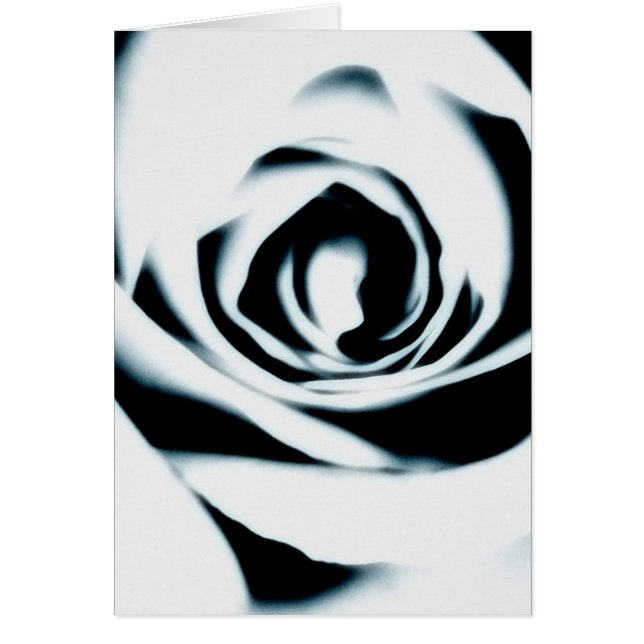 Weiße Rosen-Karte (Vorne)