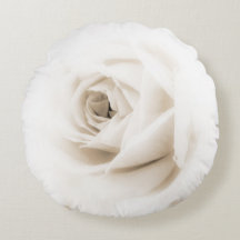 Weiße Rosenblüte