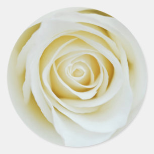 Weiße Rosenblüten Aufkleber