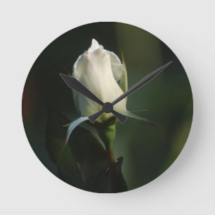 Weiße Rosenknospe Runde Wanduhr