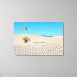 Weiße Sandlandschaft und Yucca Tree Leinwanddruck
