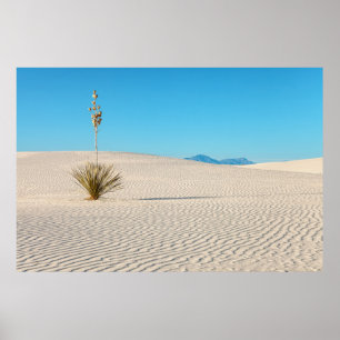 Weiße Sandwüste Landschaft und Yucca-Pflanze Poster