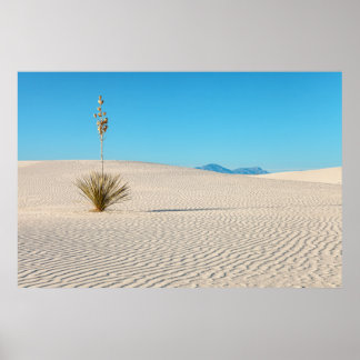 Weiße Sandwüste Landschaft und Yucca-Pflanze Poster