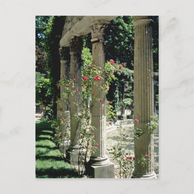 Weiße Säulen und Rose - Parc Monceau, Frankreich f Postkarte (Vorderseite)