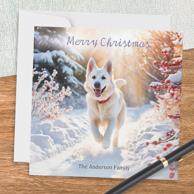 Weiße Schäferhund Dog Alsatian Weihnachten (A Christmas card with a picture of a white German Shepherd dog out for a walk in the winter snow)