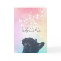 Weiße Schmetterlinge Regenbogenkatze Verlust Mitge