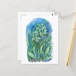 weiße Schmetterlingsorchidee Frühlingsblumenmalere Postkarte