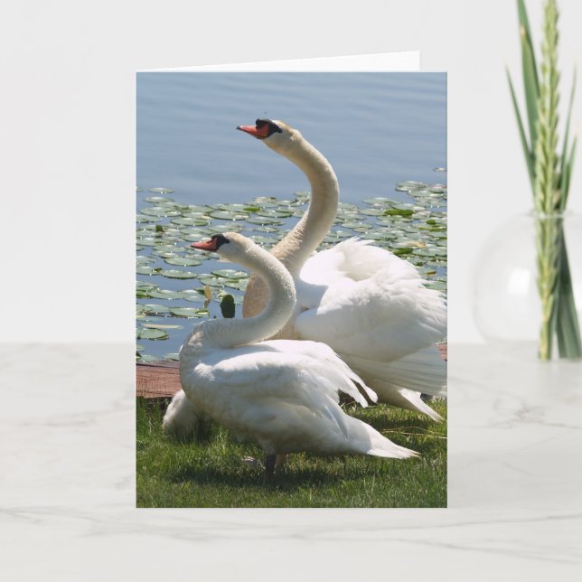 Weiße Schwan-Anmerkungs-Karte Karte (Vorderseite)