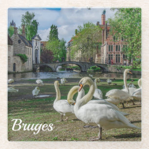 Weiße Schwäne in Brügge Glasuntersetzer