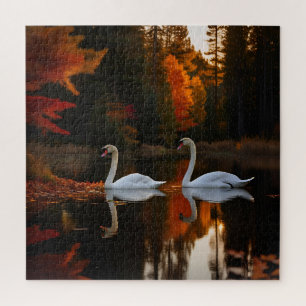 Weiße Schwäne schlängeln über den Herbstteich