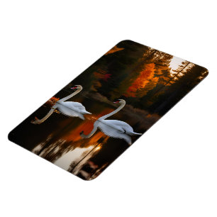 Weiße Schwäne schlängeln über den Herbstteich Magnet
