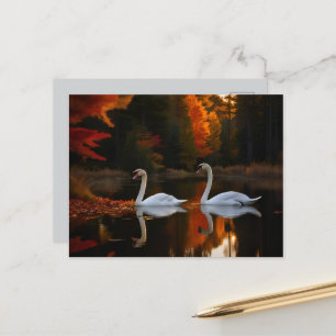Weiße Schwäne schlängeln über den Herbstteich Postkarte