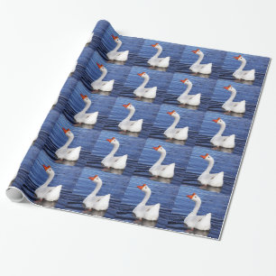 weiße Schwangans in blauem Wasser Geschenkpapier