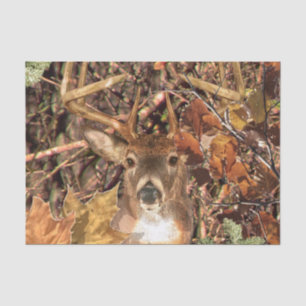 Weiße Schwanz Hirsch Herbst Energie auf einem Seidenpapier